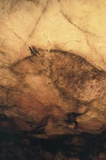 Cueva de Tito Bustillo