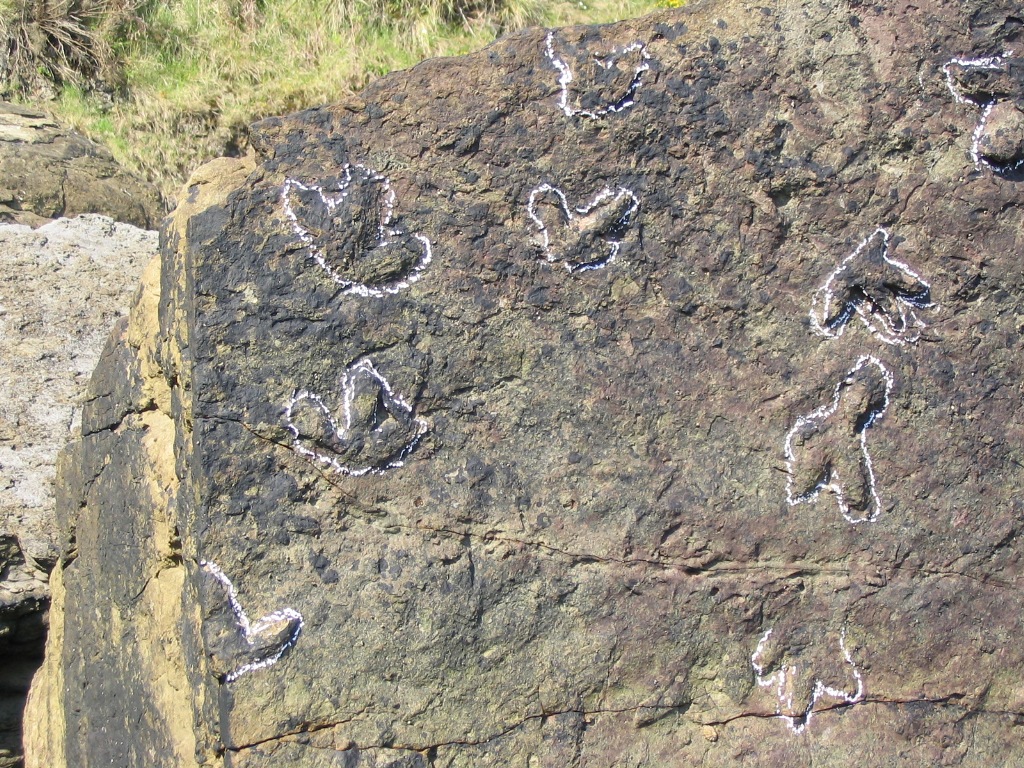 Icnitas de dinosaurio. Acantilados de Tereñes