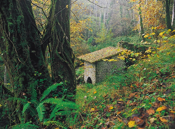 Ruta de los Molinos en Cueves